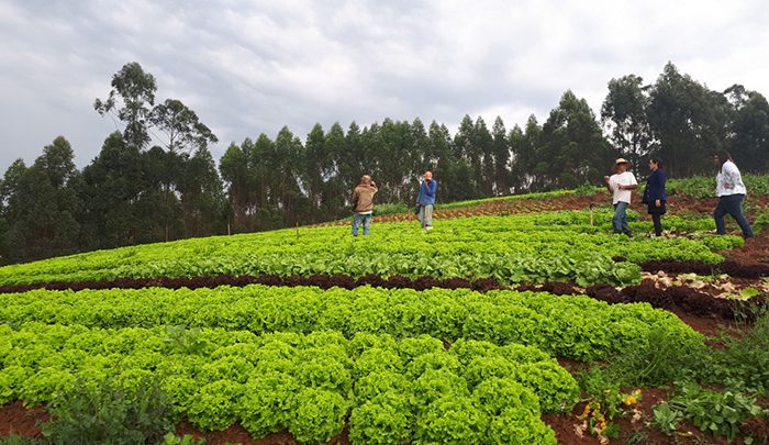 Com apoio da Suzano, agricultores familiares do Vale do Paraíba (SP) se reinventaram e transformaram a vida no campo